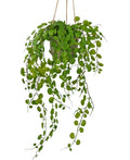 Artificial Hanging Succulent