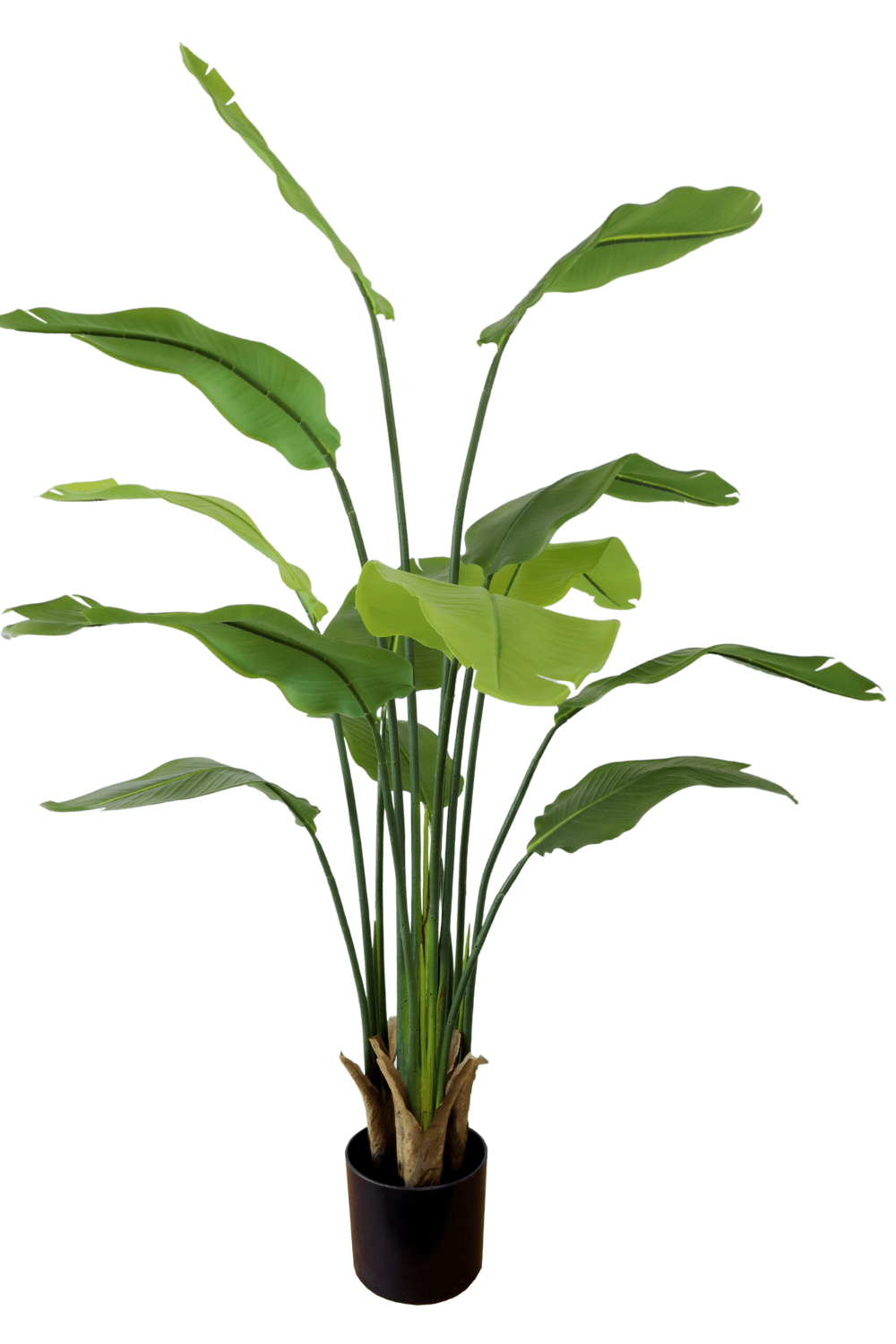 Artificial Strelitzia Plant